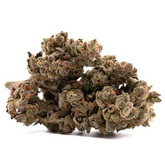 Apricot CBD Hemp Flower with dense purple punch cannabis bud, trichomes, and orange hairs